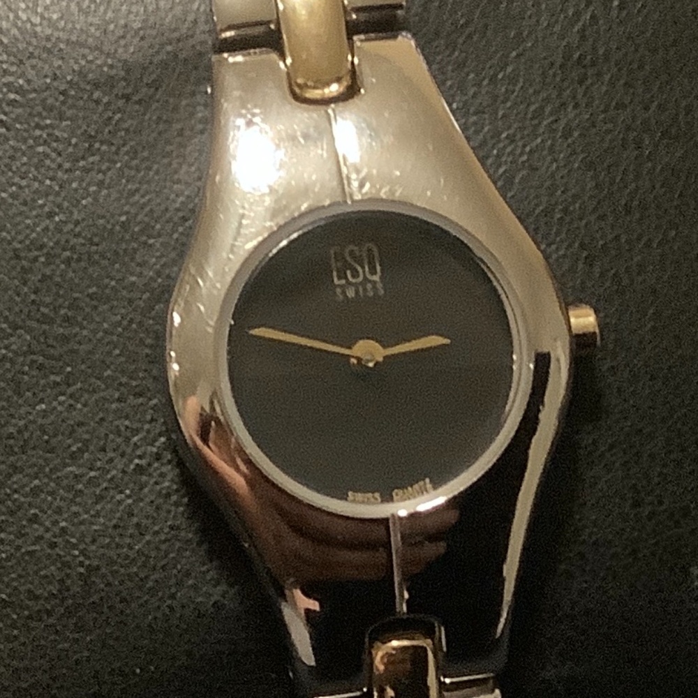 ESQ Swiss Watch
